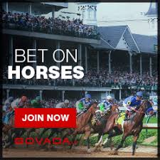  Horse Racing Betting at Bovada Racebook